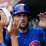 After strong series vs. Cards, Cubs' Alex Bregman takes aim at Yankees
