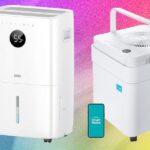 6 Best Dehumidifiers to Fight Mold and Muggy Summers (2026)